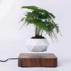 Load image into Gallery viewer, Flyte™ Levitating Plant Pot