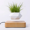 Load image into Gallery viewer, Flyte™ Levitating Plant Pot